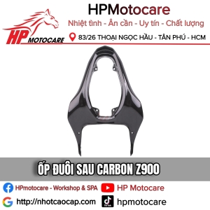 ỐP ĐUÔI SAU CARBON Z900