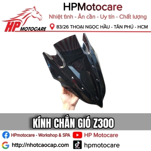 KÍNH CHẮN GIÓ Z300